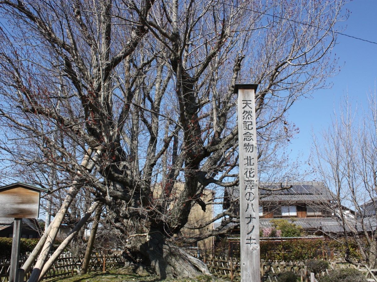 湖東町の地域情報
