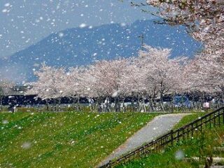 今日と昨日は！