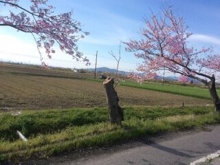 令和元年 はじまり～　はじまり～（人間国宝風に）