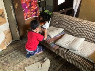 産まれたての猫ちゃん