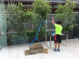 ヒヨドリその後4