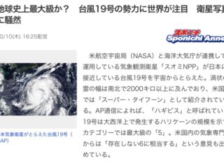 台風養生します。