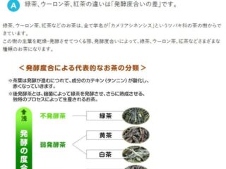 紅茶と烏龍茶の違い知っていますか？