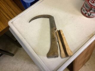 宝物が出てきた。