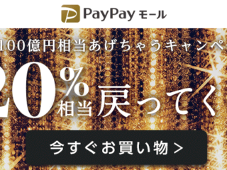 ペイペイキャンペーン終了