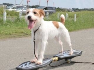 ブレイブボード