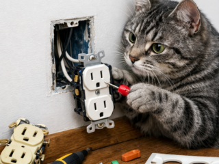 コンセントの交換