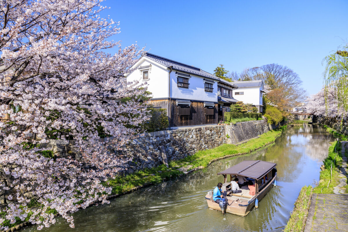 近江八幡市の地域情報